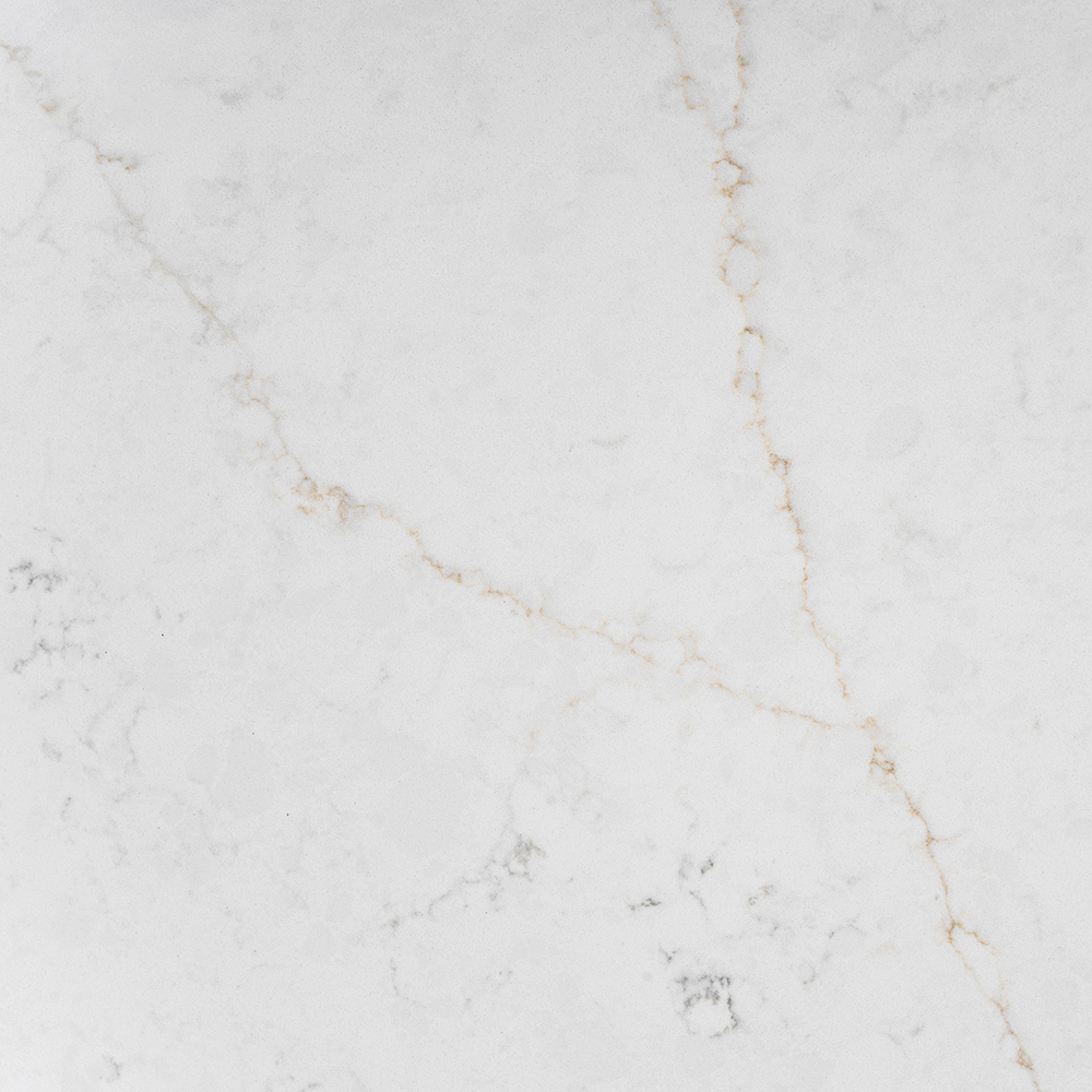 POLARIS VEIN