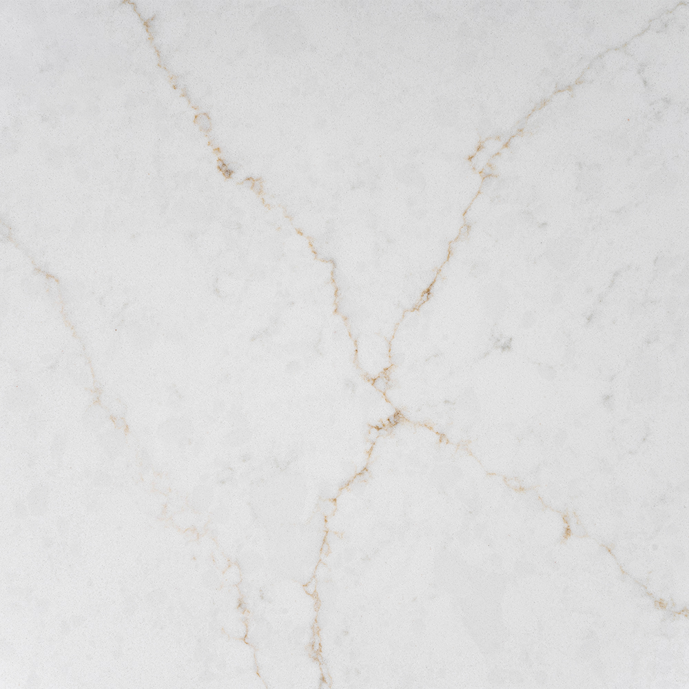POLARIS VEIN